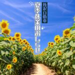 2026年夏