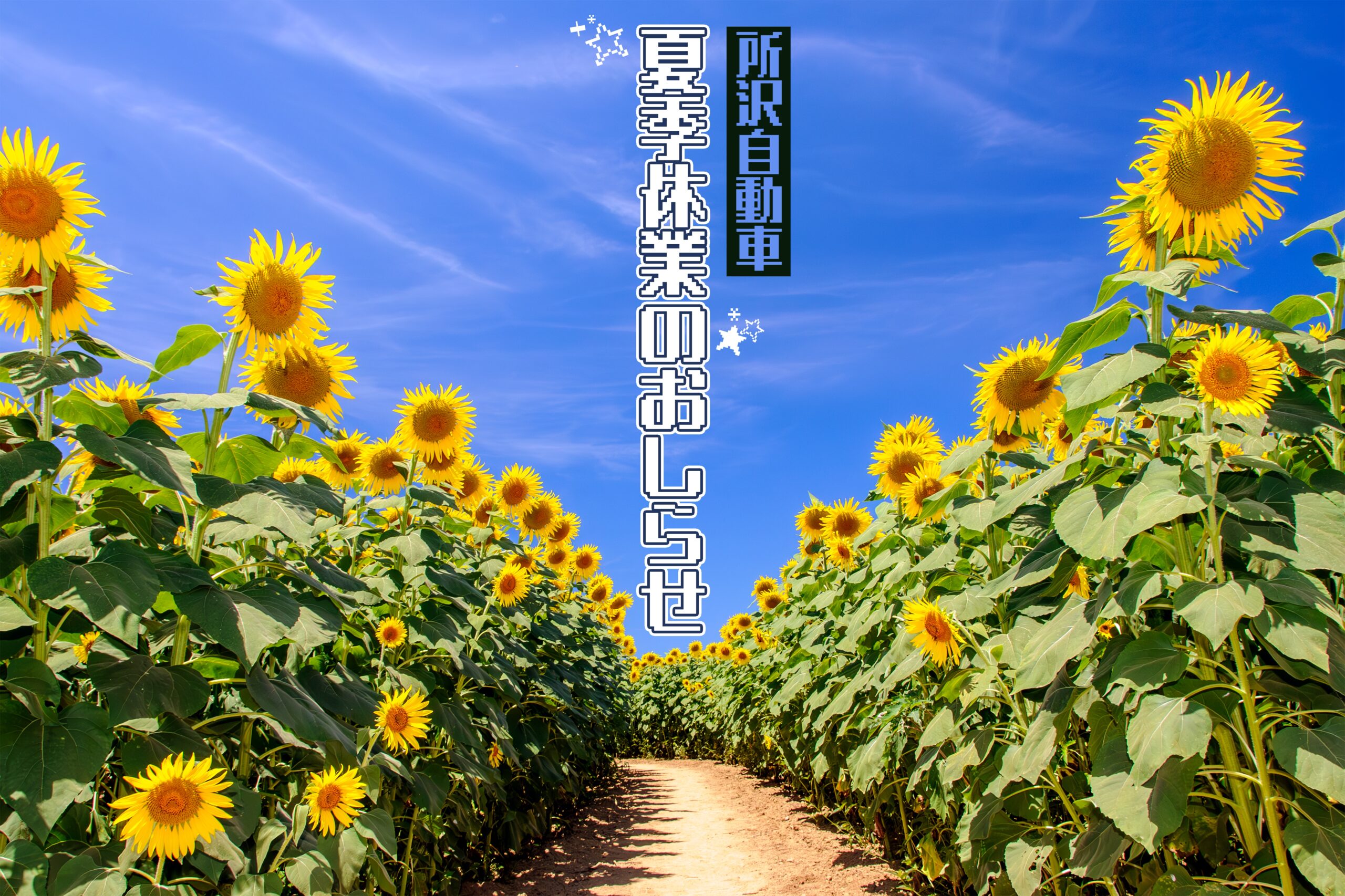 2026年夏